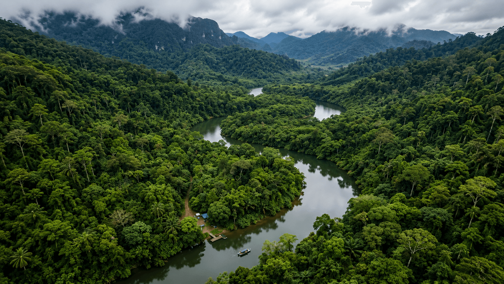 Aerial view of a winding river through dense tropical rainforest with mountains and a small camp.